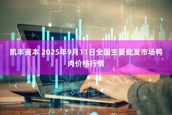凯丰资本 2025年9月11日全国主要批发市场鸭肉价格行情