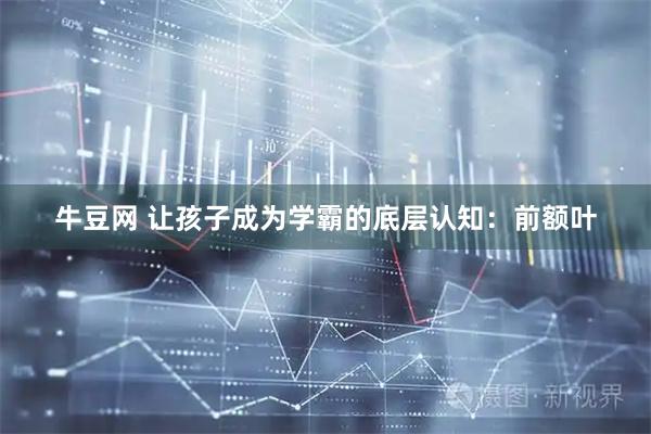 牛豆网 让孩子成为学霸的底层认知：前额叶