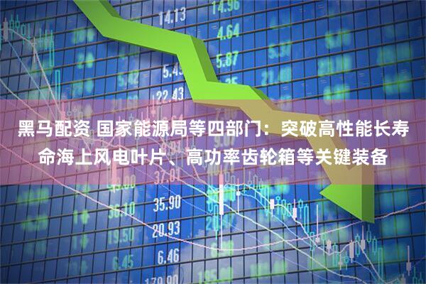 黑马配资 国家能源局等四部门：突破高性能长寿命海上风电叶片、高功率齿轮箱等关键装备