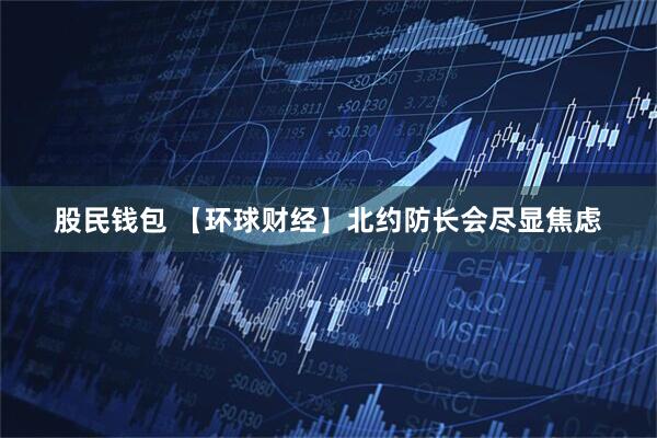 股民钱包 【环球财经】北约防长会尽显焦虑